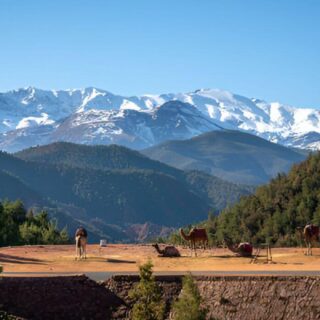 Excursion Ourika Valley