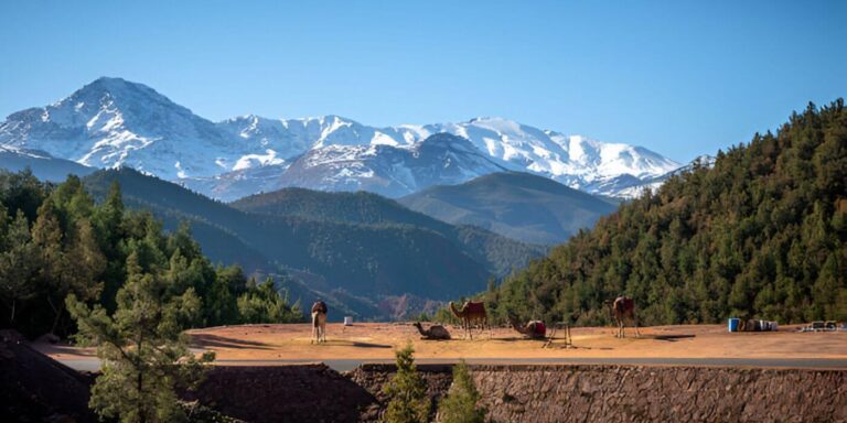 Excursion Ourika Valley